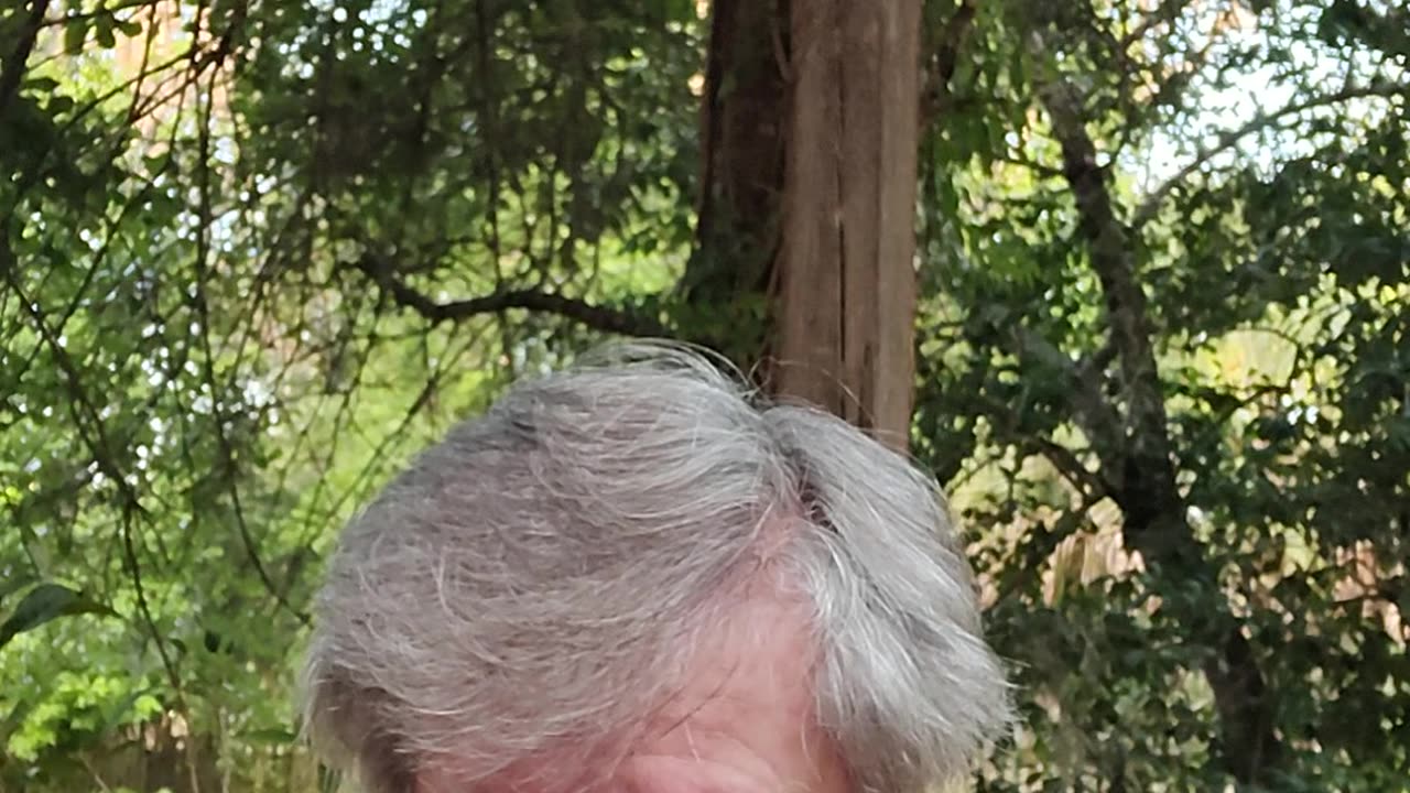 Plan to Rescue Hitler - Sharkhunters