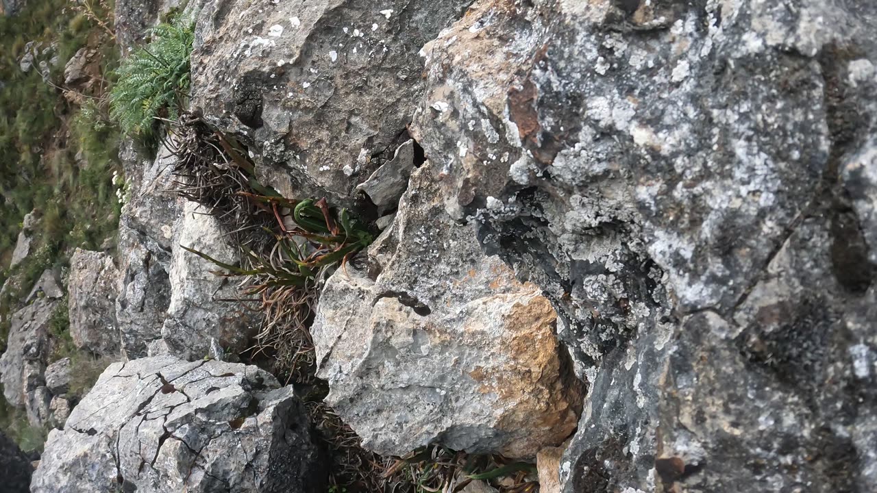 Potocchi #huancavelica