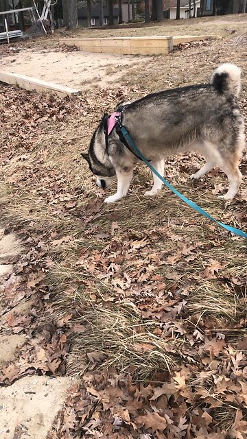 Wednesday March 19, Be strong and very courageous