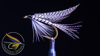 Tying the Gray Drake Wet Fly- Dressed Irons