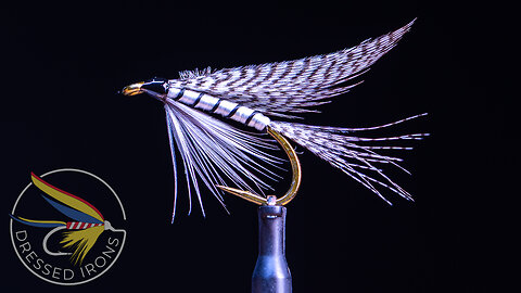 Tying the Gray Drake Wet Fly- Dressed Irons