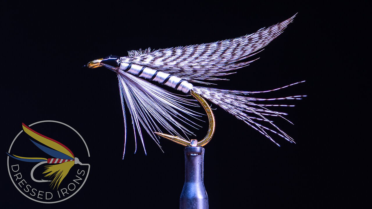 Tying the Gray Drake Wet Fly- Dressed Irons