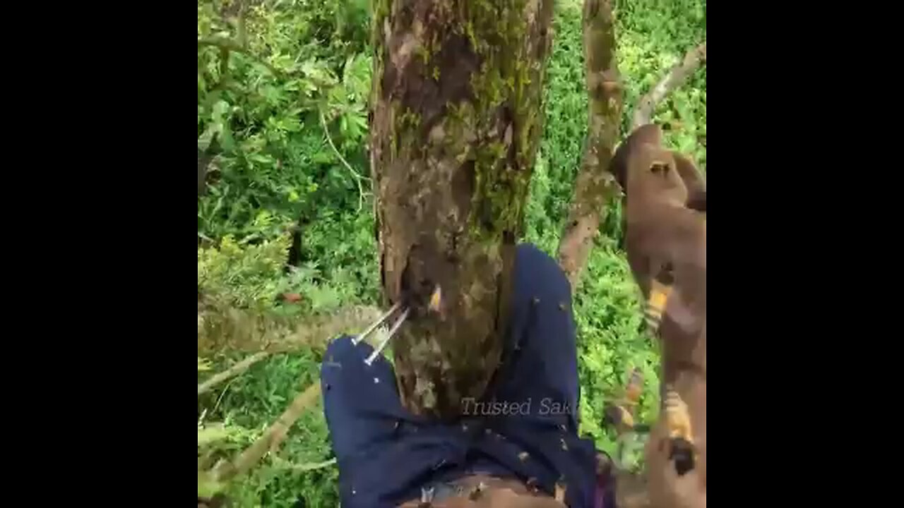 is this risk worth taking?