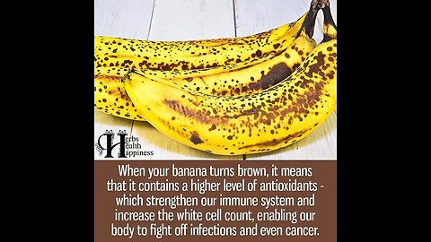 A little more trivia for the day... 🧐 Nooo not the banana but that's good to know also ;)