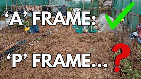 More Rustic Allotment Builds: Peas Planted & Bean Frame Success!
