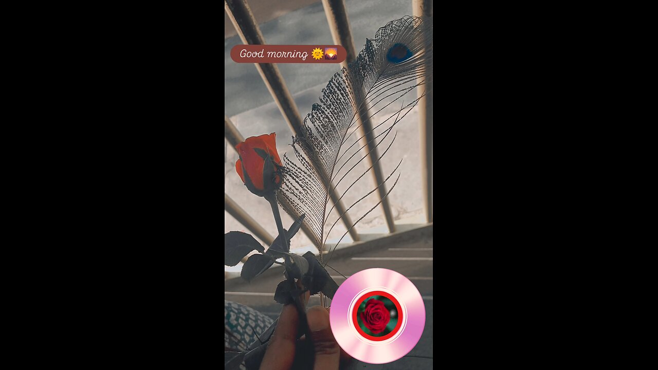 romantic parpose