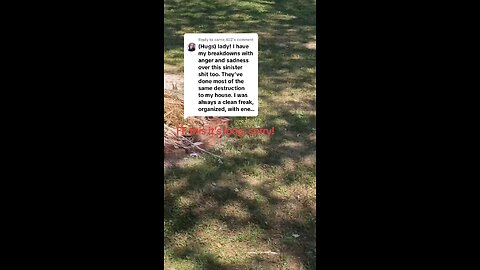 corruption, property mobbing, targeted individual