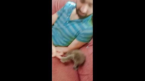 funny and enjoyable time with my black cat beautiful ❤️ baby