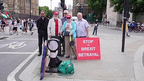 Brexit Protests Re-loaded: London 9th July 2025