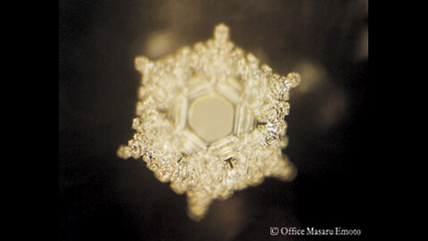 HAPPY THANKSGIVING! LOVE & GRATITUDE WITH MICHIKO HAYASHI & DR. MASARU EMOTO