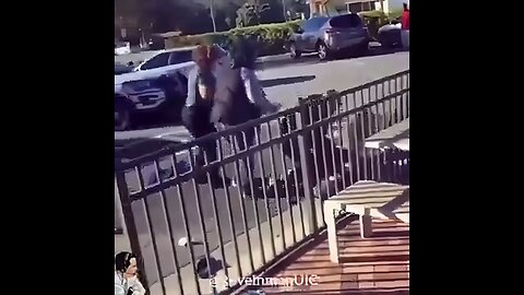 Fur Missile Compilation