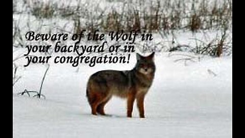 There Will Be Wolves