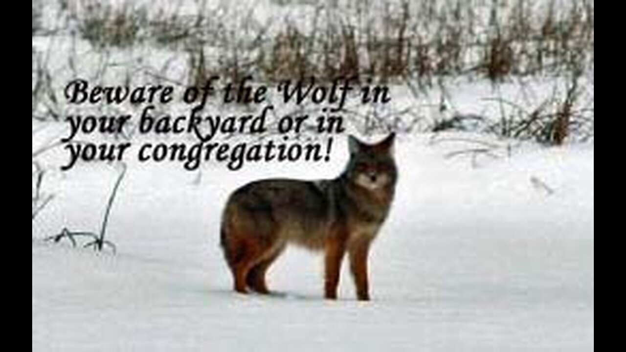 There Will Be Wolves