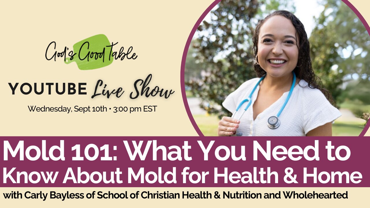 Mold 101: What You Need to Know About Mold for Health & Home