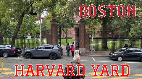 BOSTON HARVARD YARD - Harvard University Main Campus - 4K #harvard #hardvarduniversity