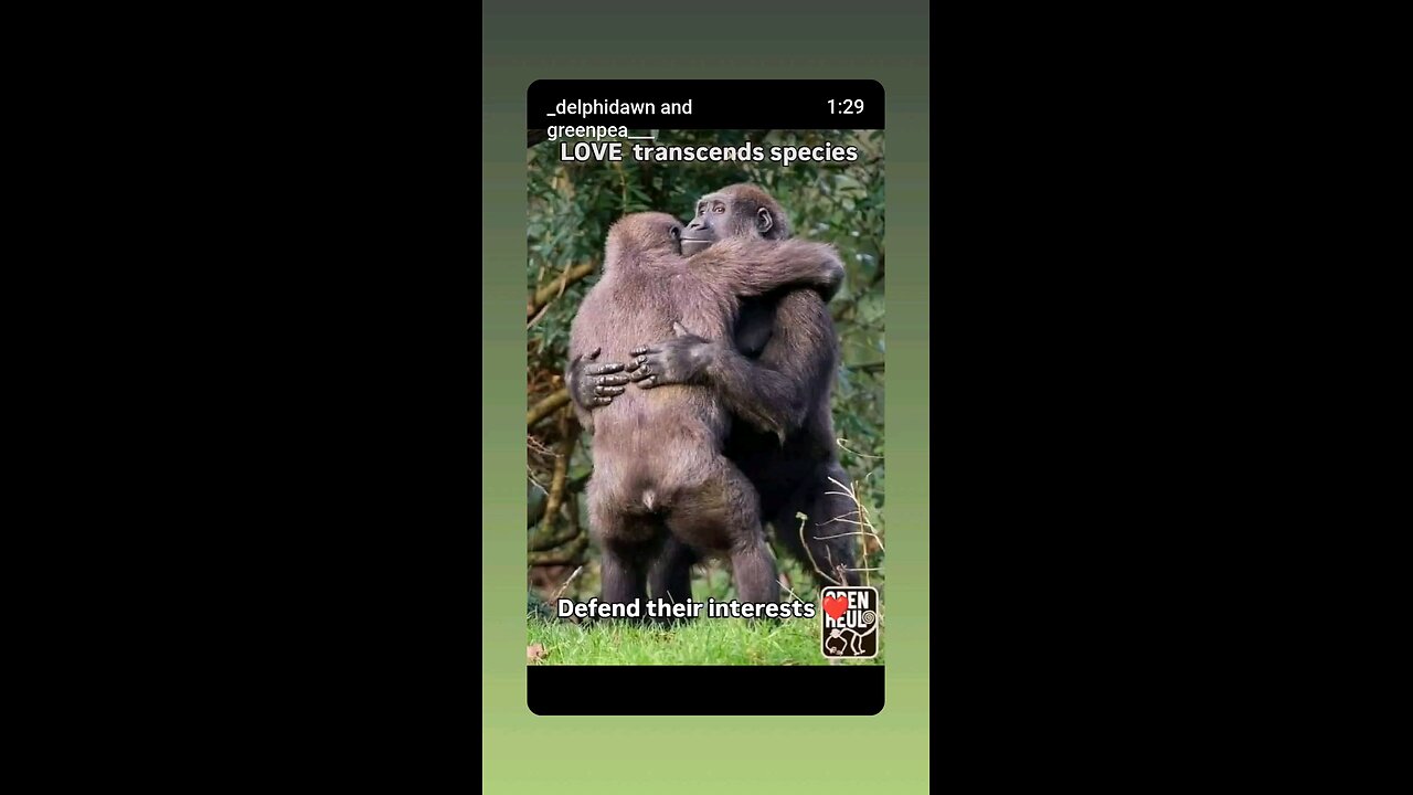 ✨Love Transcends Species ✨