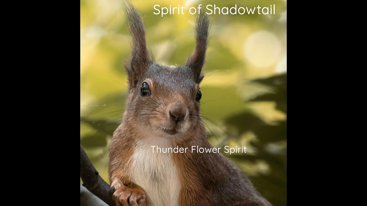 Song: Thunder Flower Spirit by Spirit of Shadowtail