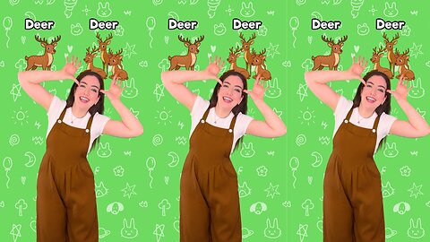 Learn Irregular Plurals in English for Kids 1 #learning #english #kids #beginner #easy #education