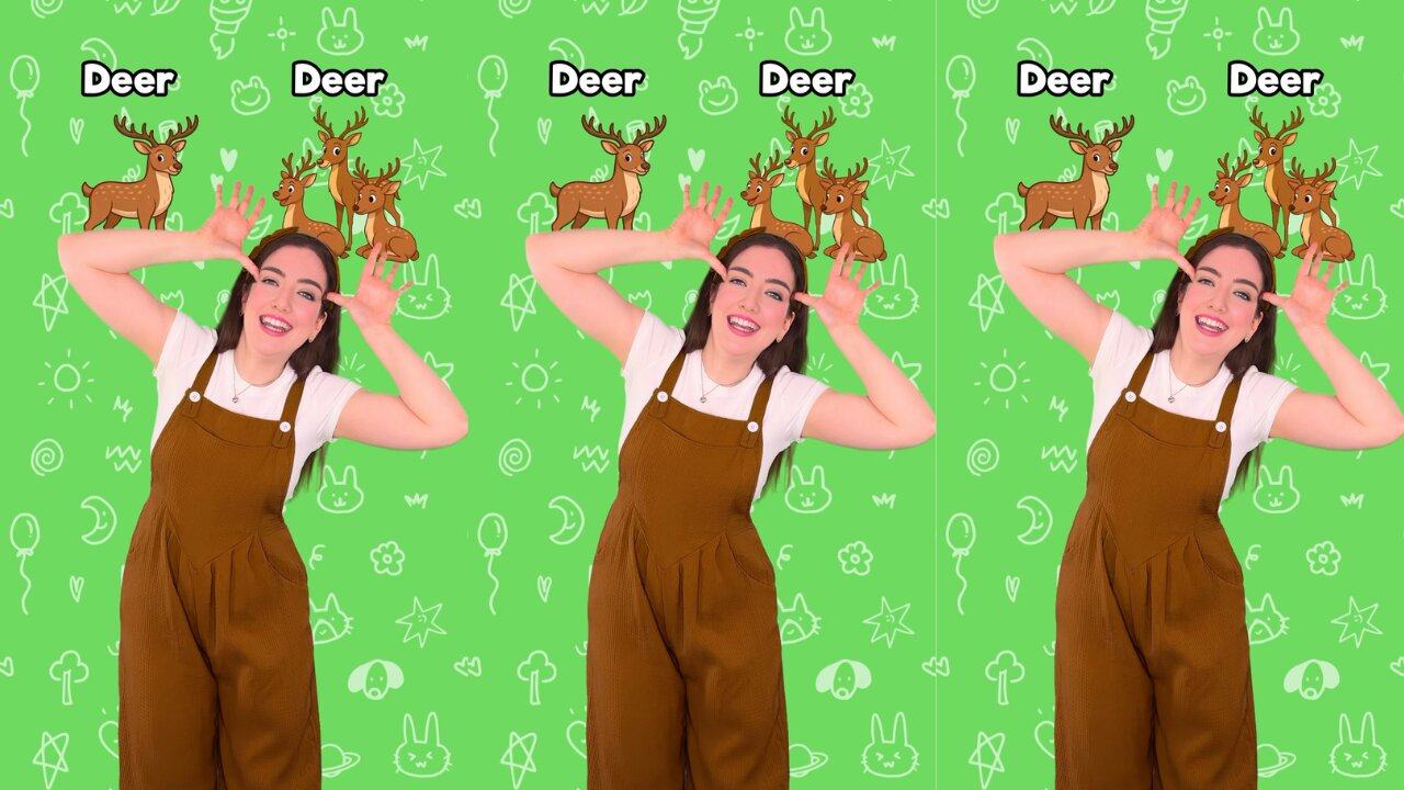 Learn Irregular Plurals in English for Kids 1 #learning #english #kids #beginner #easy #education