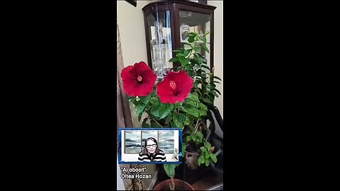 Oltea Hozan poezia -Ai Obosit În Alergare?- #editor Valentin Trif #poetry #poezie #poem