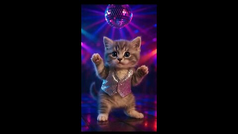 The Cutest Kitty Moments: Kitten Learns To Dance