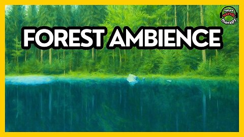 FOREST BIRDS SINGING • PEACEFUL AMBIENCE (5H)