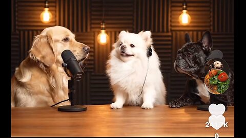 The Funny Dogs Podcast