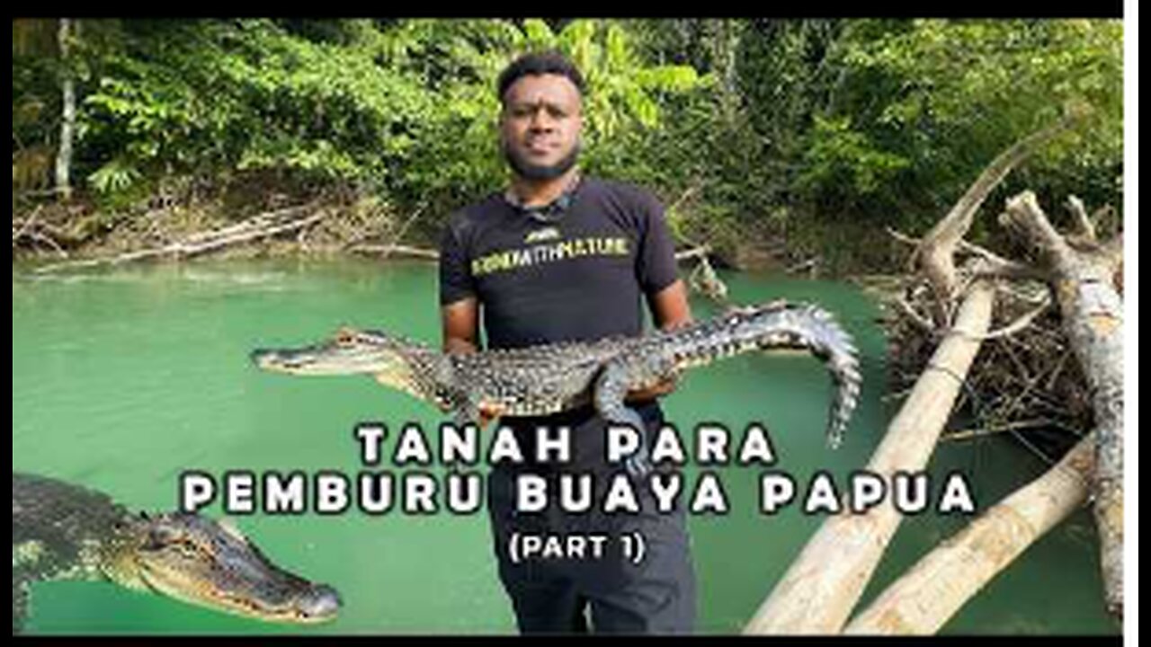 CROCODILES EATEN & SOLD IN PAPUA | Journey to the Land of Crocodile Hunters
