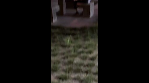 Pria ini Sedang Merayakan Ulang Tahun Dengan Anjing Nya Moment Yang Hangat