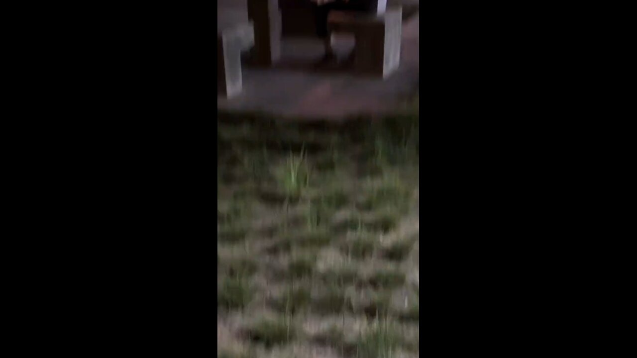 Pria ini Sedang Merayakan Ulang Tahun Dengan Anjing Nya Moment Yang Hangat
