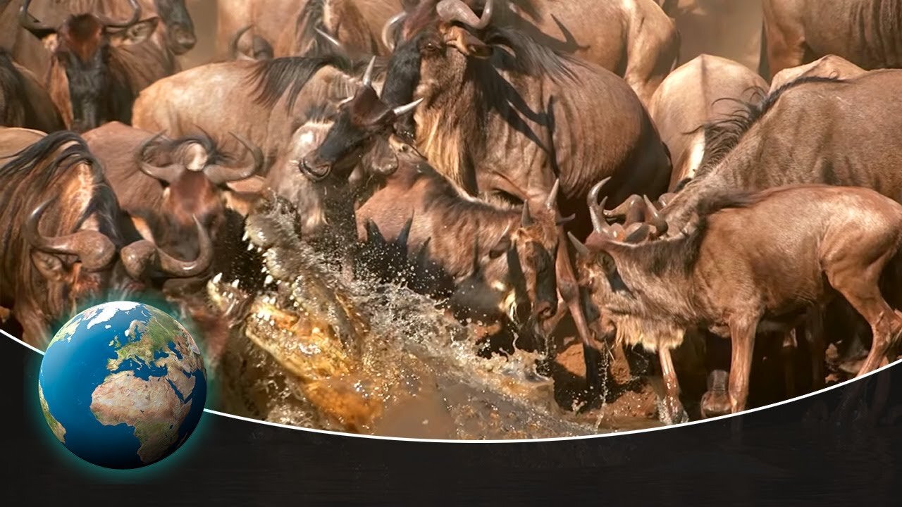 The most dangerous moments - When film makers risk their lives | Full Documentary