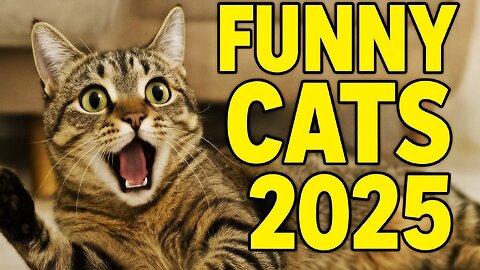 😹 Funniest Cat Moments 2025 | Try Not to Laugh Challenge
