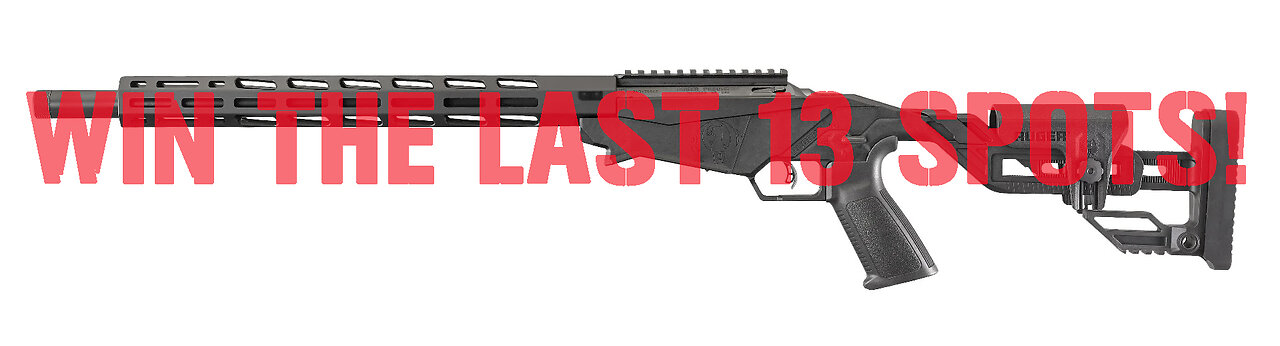 Ruger Precision 22 LR MINI FOR THE LAST 13 SPOTS IN THE MAIN WEBINAR