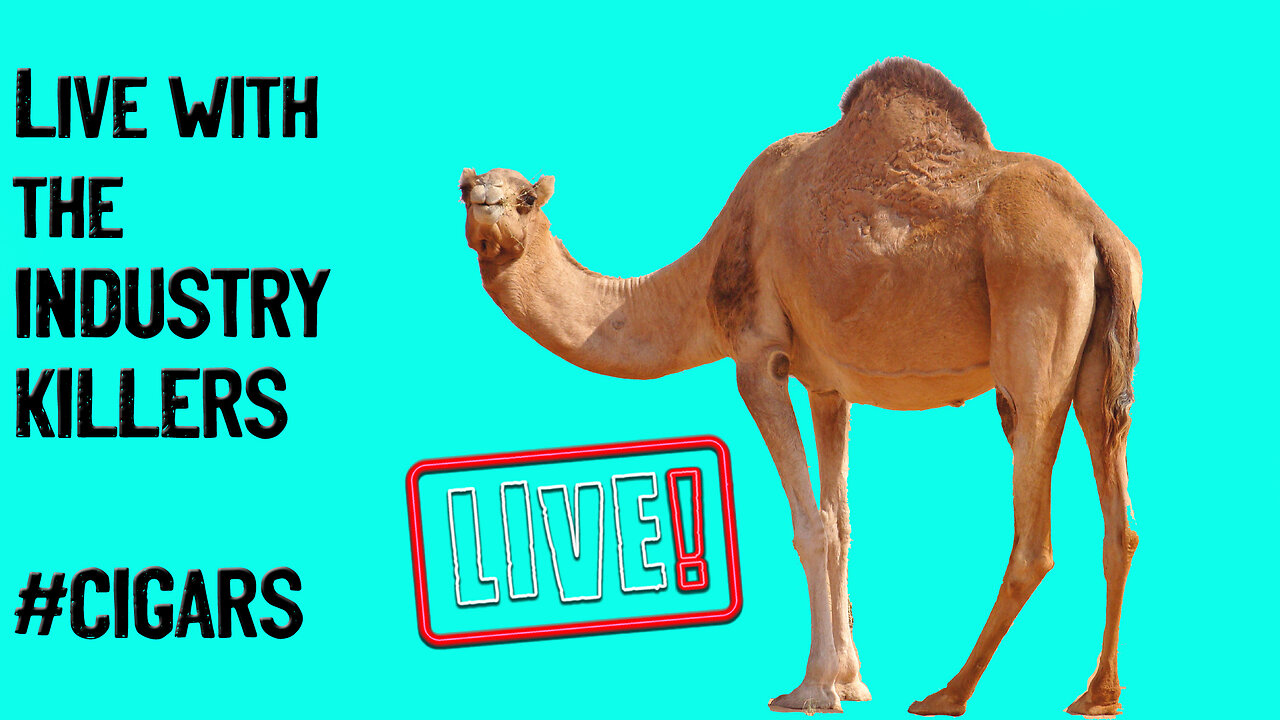 Hump Day LIVE with the Industry Killers! GET YOUR QUESTIONS IN!