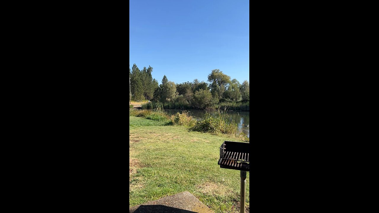 Meadow Vista Park pond