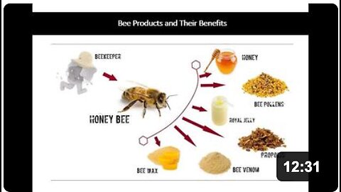 Bee Products - Royal Jelly, Propolis & Pollen