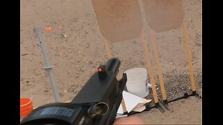 Palmetto State Armory Dagger Compact