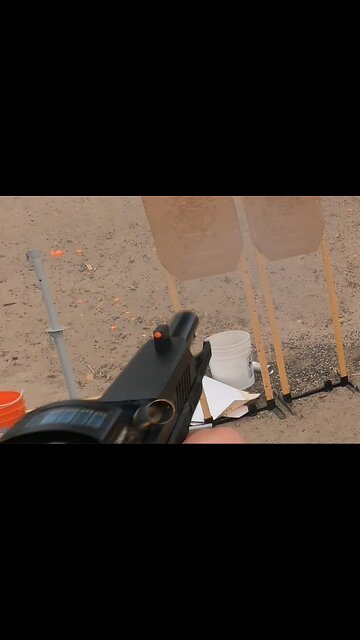 Palmetto State Armory Dagger Compact