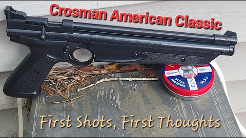 First Shots, First Thoughts: Crosman American Classic 1322
