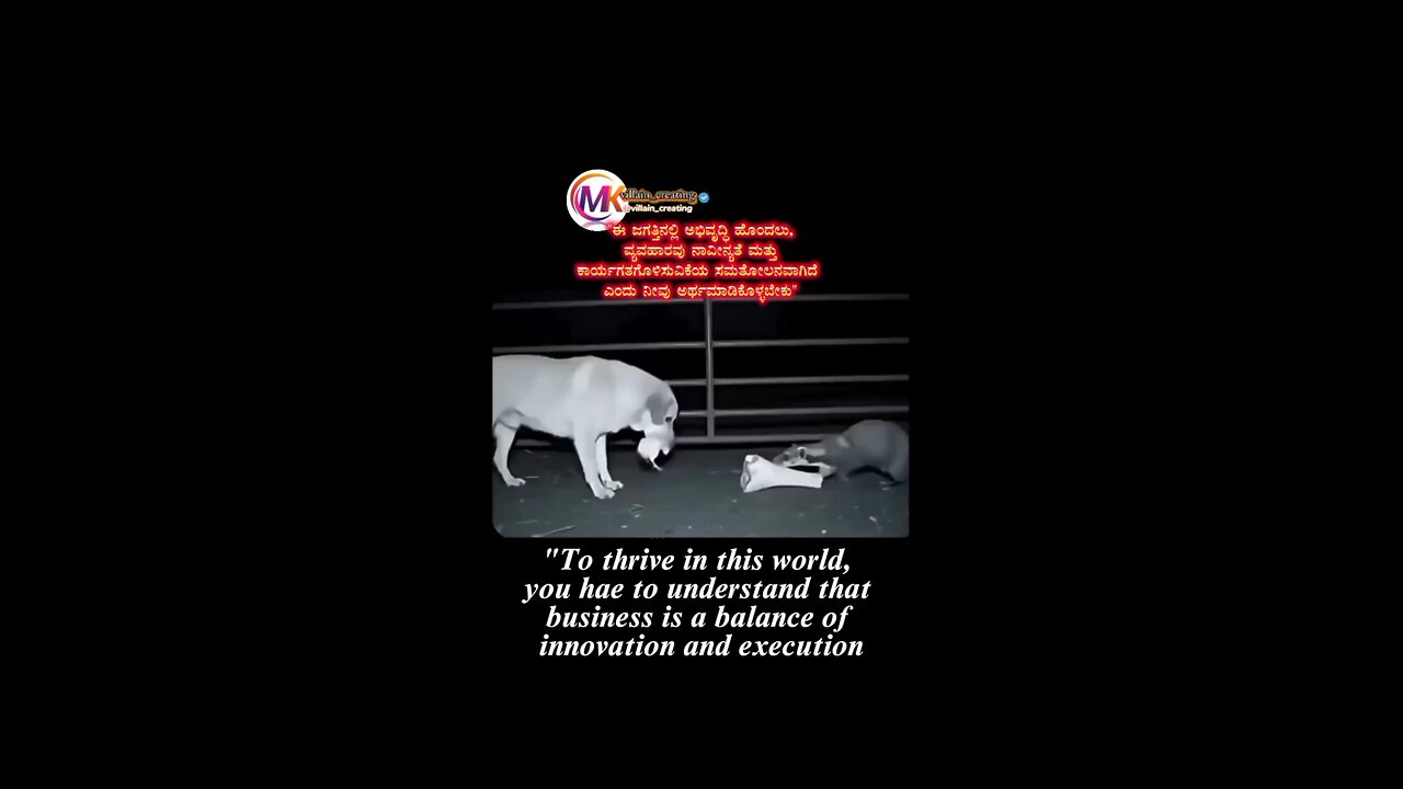 To thrive in this world you hae to understand that???.