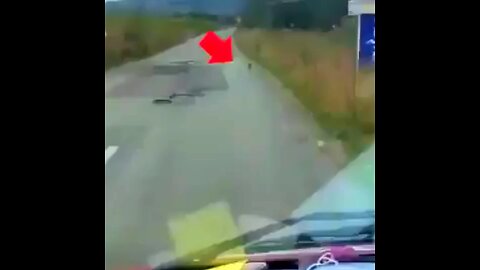 This dog was abused, she ran to this car seeking help and fortunately was rescued😲