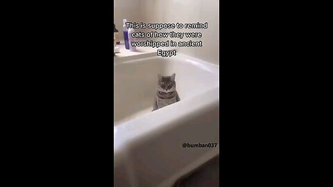 Why, why did I create this👁️👄👁️