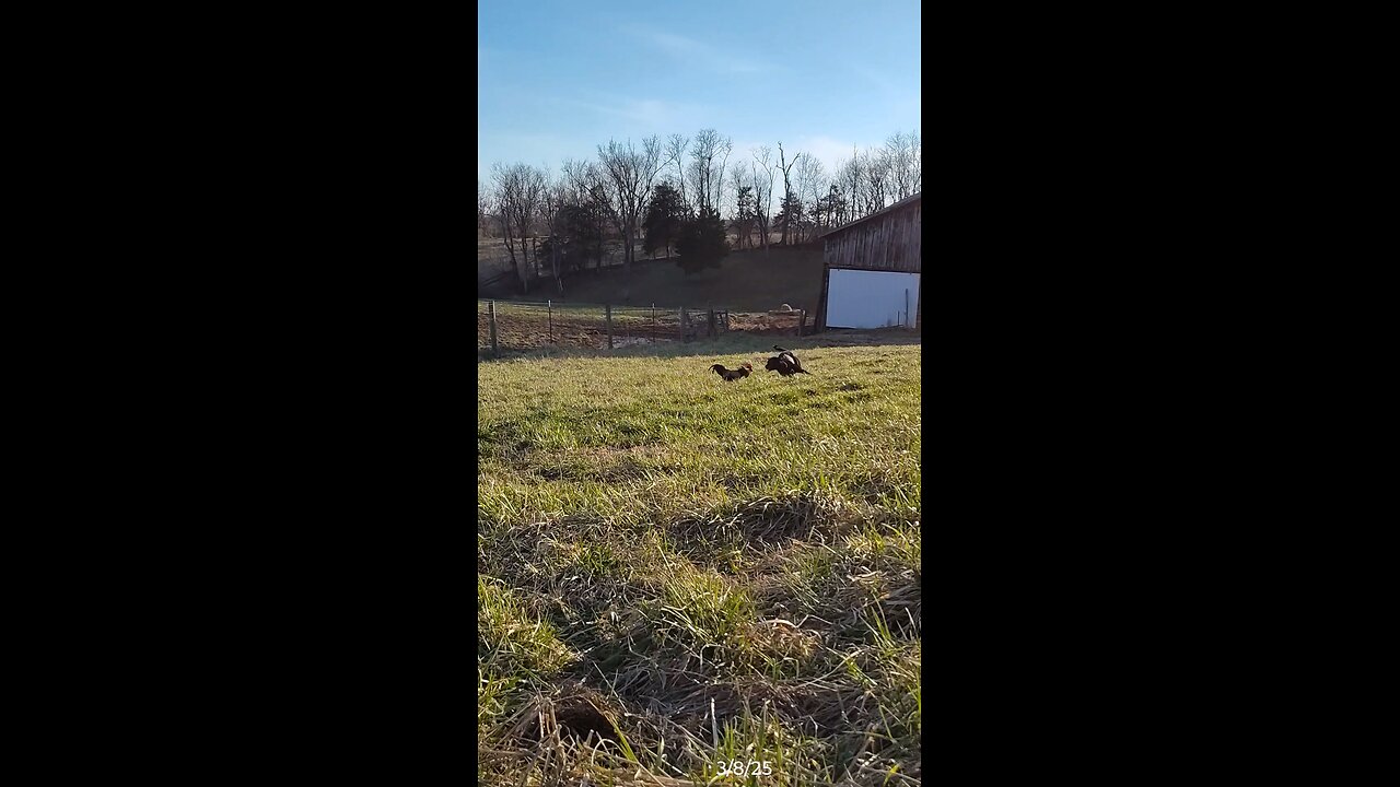 Playing in the field!