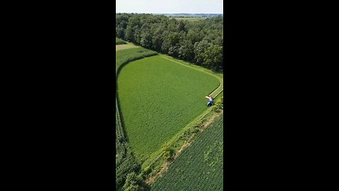 Harvesting Alfalfa
