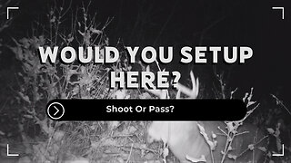 Shoot Or Pass?