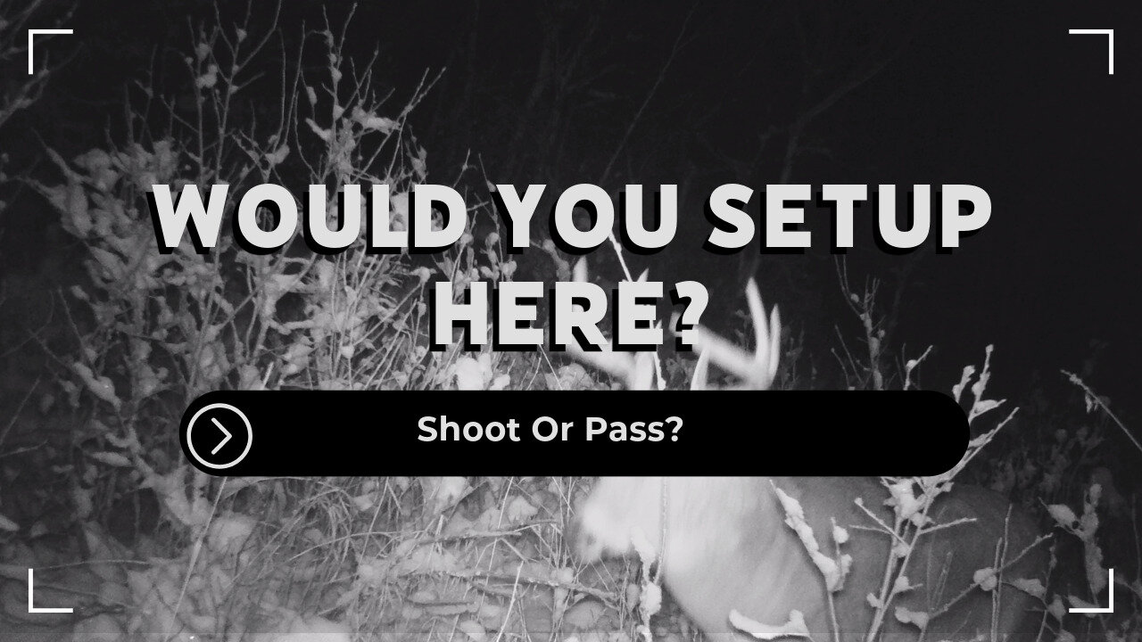 Shoot Or Pass?