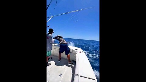 Bigg Fish