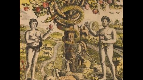 QR * ST - Adam Eve Rebis * Siber decoded