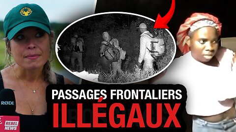 Passages illégaux à la frontière : la vérité exposée