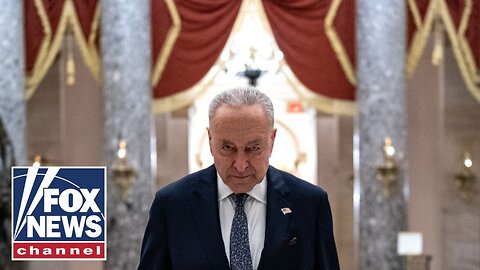 'PARTY OF PITCHFORKS': Dems revolt after Schumer's vote